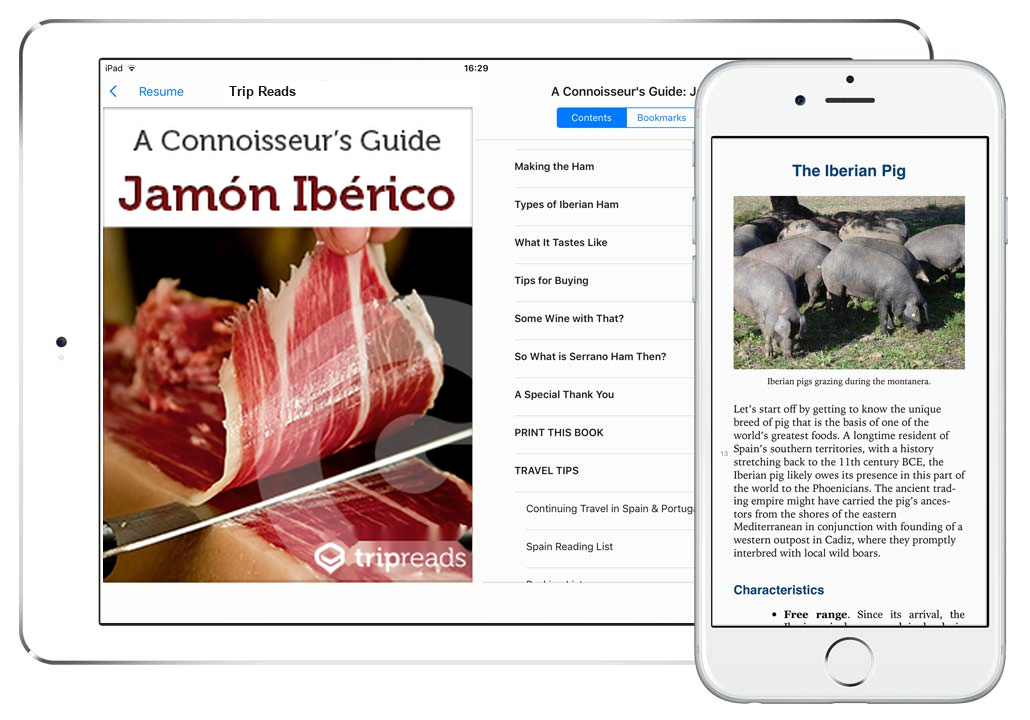 AG-Spain-Jamon-1-tripreads