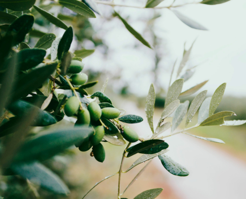 Olives